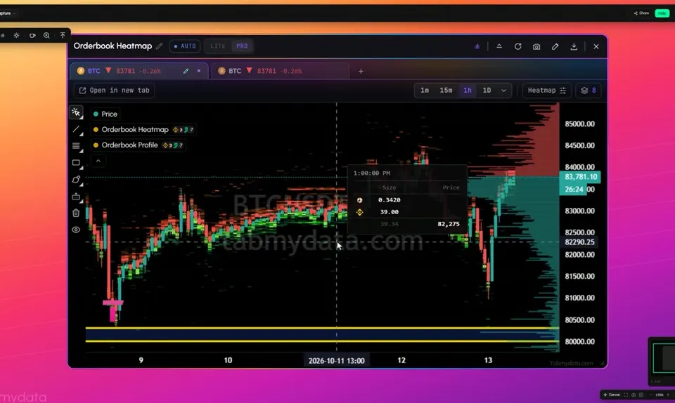 Orderbook Heatmap tab in Tabmydata
