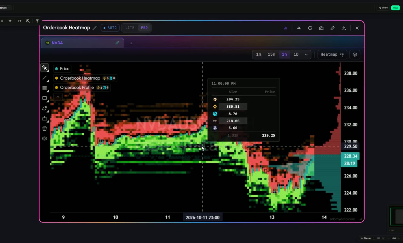 The Orderbook Heatmap on NVDA futures: a heat field of resting order size behind the candles, with the profile bars at the right edge
