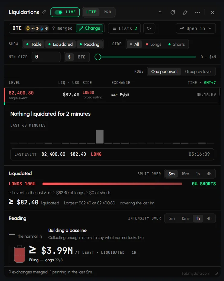The Liquidations tab with the table, Liquidated and Reading blocks